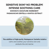 [SKIN1004] Madagascar Centella Hyalu - Cica Cloudy Mist 120ml - Palace Beauty