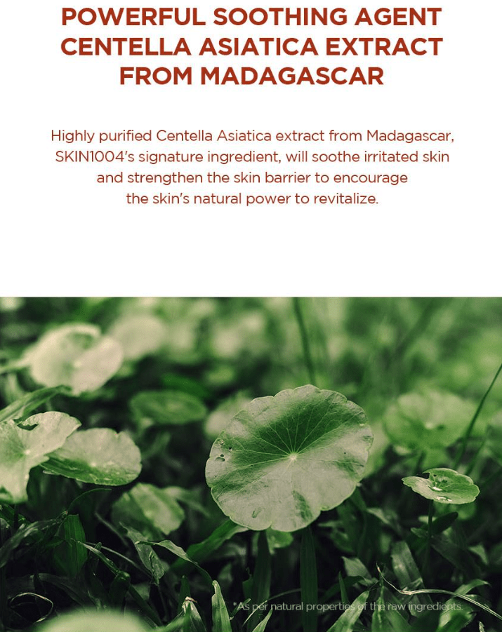 [SKIN1004] Madagascar Centella Poremizing Quick Clay Stick Mask 27g - Palace Beauty
