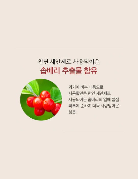 [SOORYEHAN] Bon Cleansing Foam(100ml) - Palace Beauty