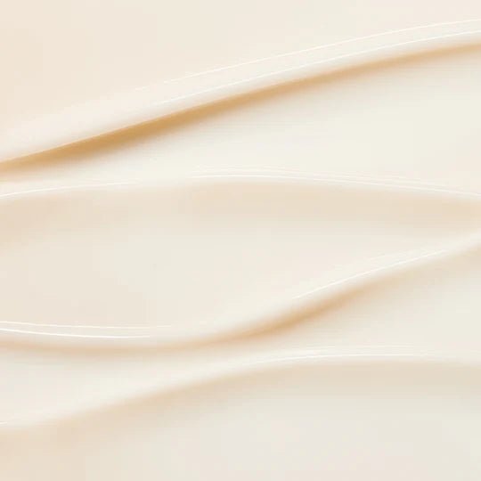 [Sulwhasoo] Concentrated Ginseng Rejuvenating Cream Rich Set - Palace Beauty