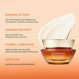 [Sulwhasoo] Concentrated Ginseng Rejuvenating Cream Rich Set - Palace Beauty