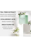 [THE FACE SHOP] Tea Tree Toner Pads (150Ml/5.0fl.oz) - Palace Beauty