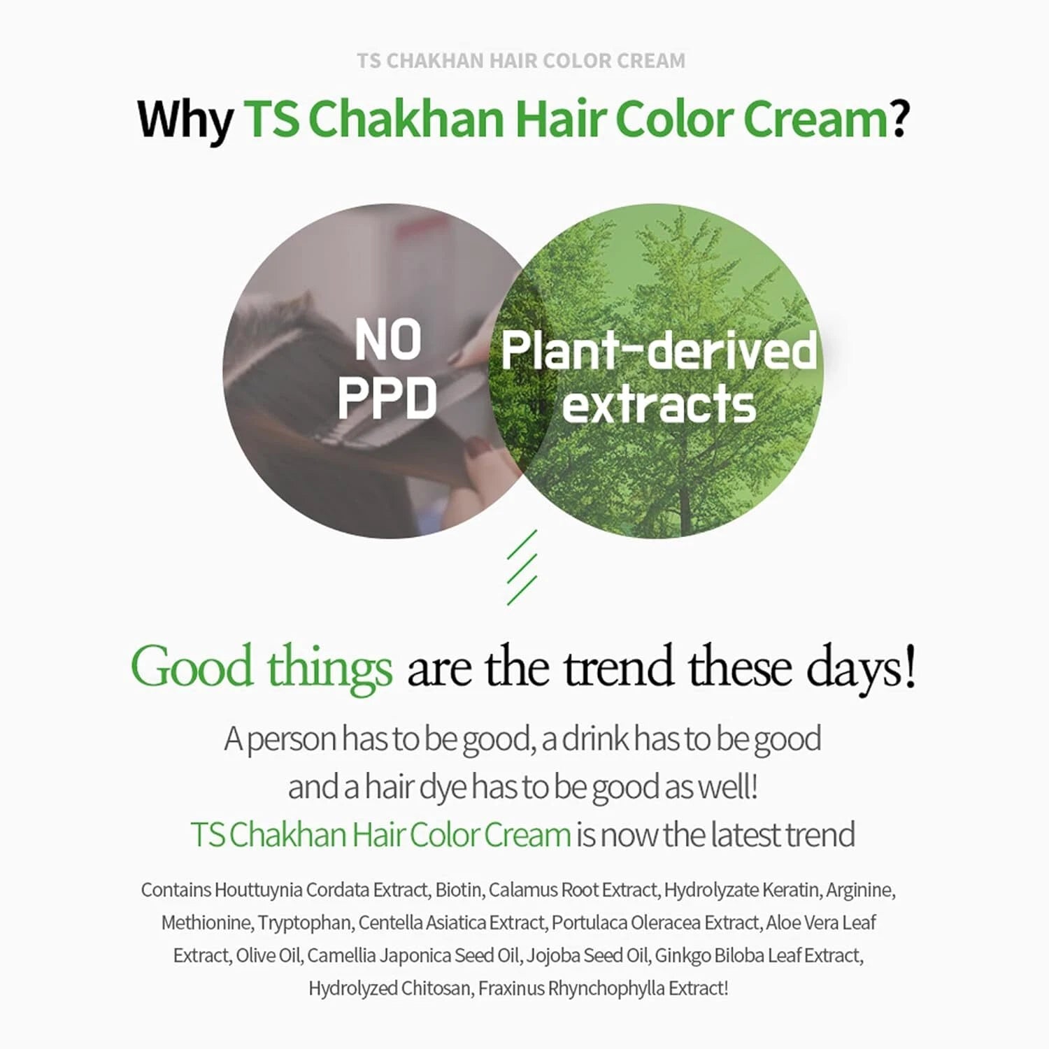 [TS] Chakhan Hair Color Cream(4 colors) - Palace Beauty