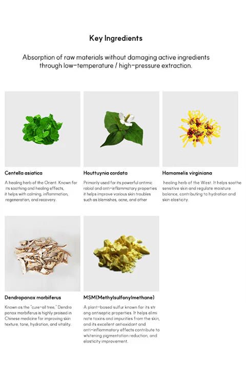 [VENDERMA] Red Calming Cica Exosome 2 Weeks Intensive Care Program Set - Palace Beauty