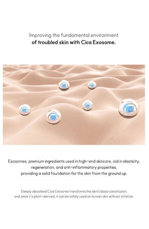 [VENDERMA] Red Calming Cica Exosome 2 Weeks Intensive Care Program Set - Palace Beauty