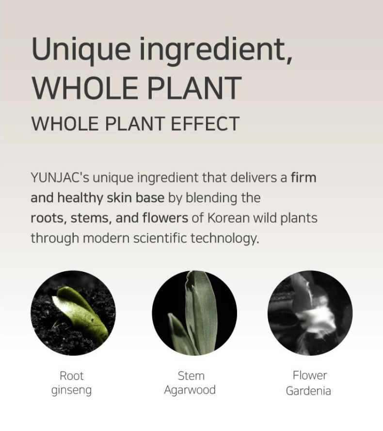 [YUNJAC] Skin Perfecting Protective Base Prep (40ml) - Palace Beauty